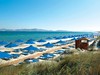 Grecotel royal park hotel kos -